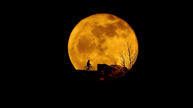 The Supermoon in Dublin's Phoenix Park (Pic: Anthony Lynch)