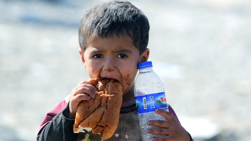 A boy is given bread and water as he waits at the Iraqi-Syrian border