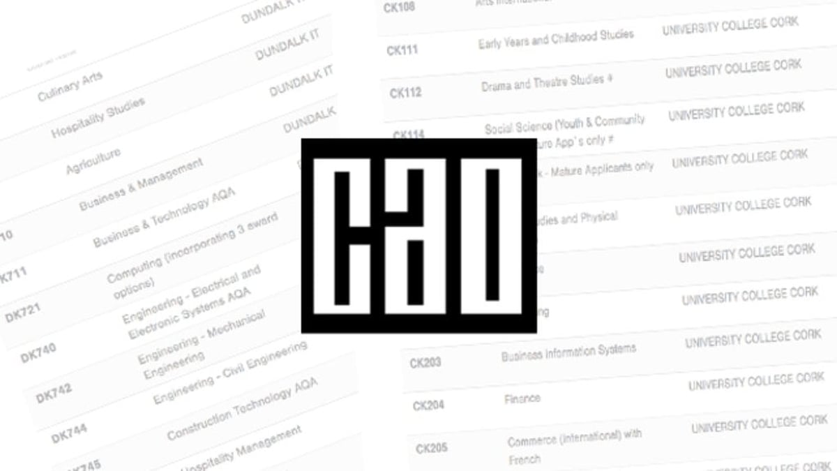 Is the CAO system fair to all students? 