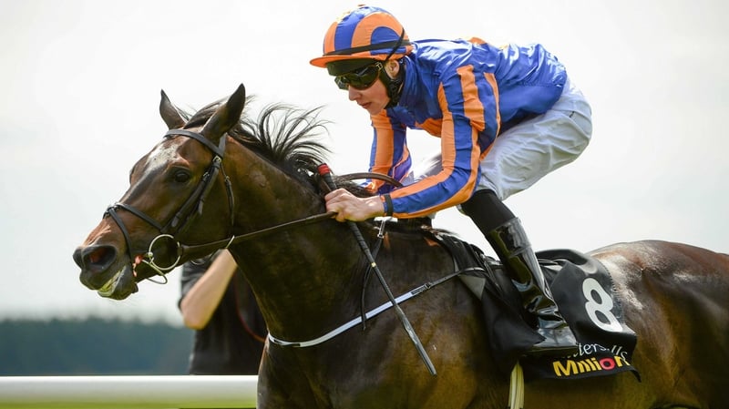 Magician was closed down and overtaken in closing stages by Hardest Core in Chicago