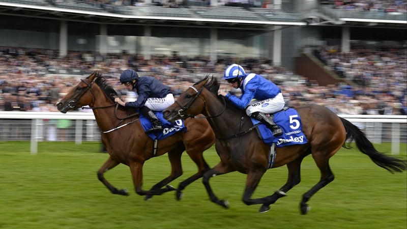 Few pundits would contend that Tapestry's optimum trip is a mile