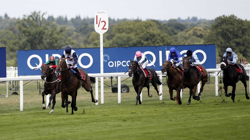 Pallasator was a convincing winner of an Ascot handicap on his most recent outing