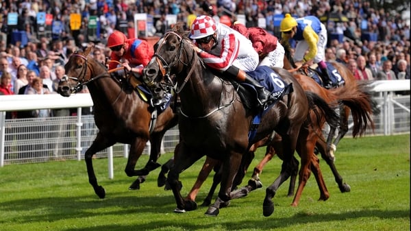 Sole Power is a top-price 3-1 for the Sprint Cup