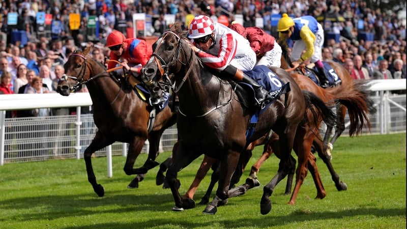 King's Stand and Nunthorpe winner Sole Power has amassed almost €2million in prize money in his 44-race career