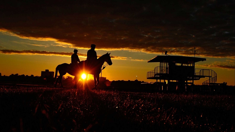 Horses and riders during a trackwork session at Flemington Racecourse in Melbourne, Australia