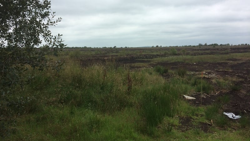 The Independent Commission for the Location of Victims' Remains has carried out searches in the area before