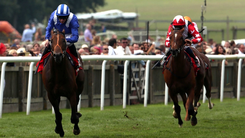 Estidhkaar has won three of his four starts