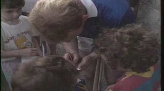 Tipperary and Kilkenny Prepare For All Ireland Final