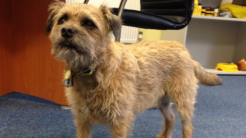 The research found a 93% reliability rate when detecting bladder and prostate cancer