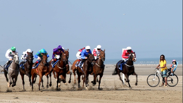 Caution: Horses crossing