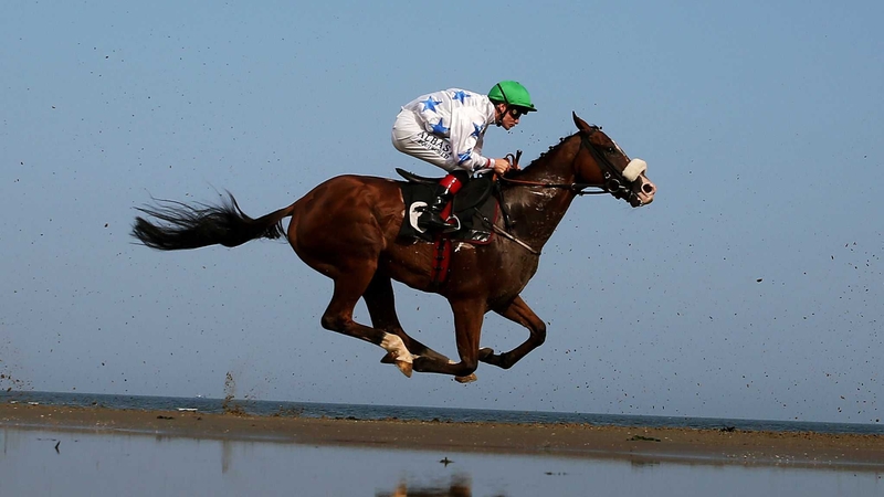 Snoqualmie Chief does his best impression of Pegasus at Laytown