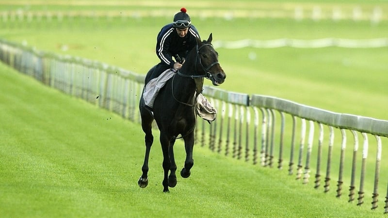 Vinnie Roe is enjoying retirement