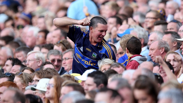 A Tipperary fan celebrates a score