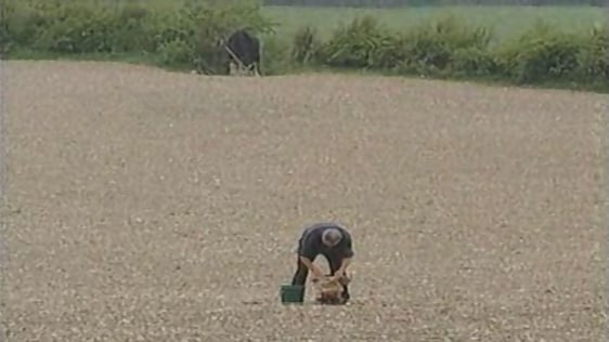 Old Fashioned Farming in the West
