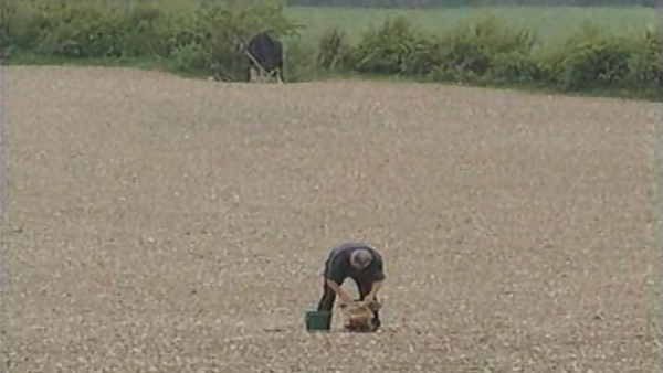 The Old Ways in Farming 1999