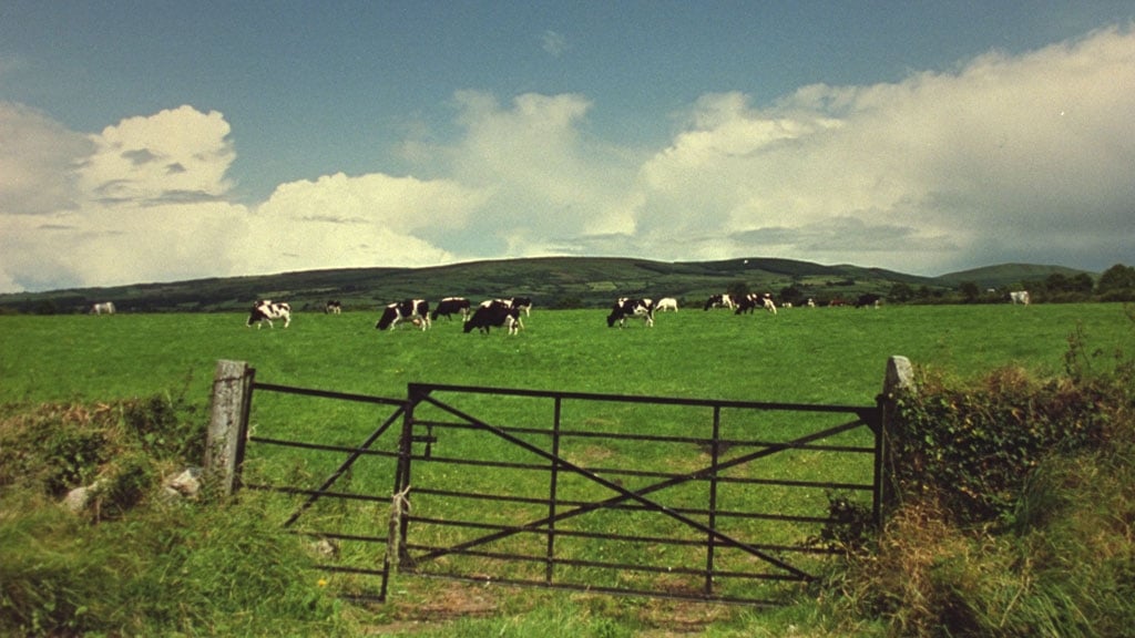 On the Farm