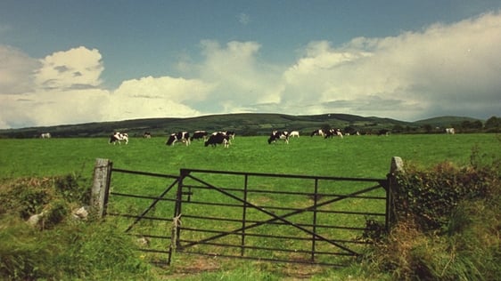On the Farm