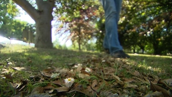 Number of suicides within certain age groups 'extraordinary'