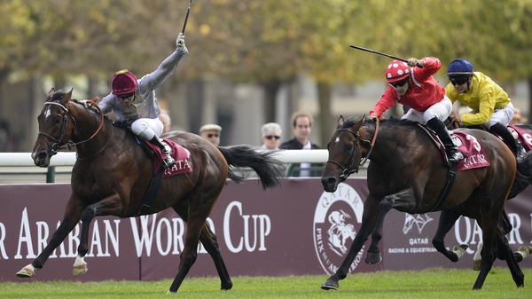 Ectot (left) storms home to take the Qatar Prix Niel