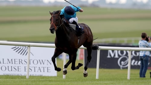 Brown Panther took the Palmerstown House Estate Irish St Leger