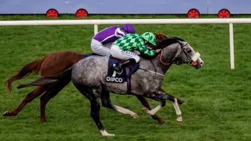 The Grey Gatsby is a general 11-8 chance for the Tattersalls Gold Cup