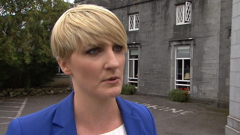 Fianna Fáil senator Averil Power tabled the motion