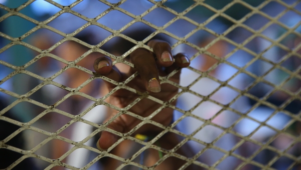More than 66,000 parents travelling with their children have crossed the southwest US border in 11 months up to 31 August