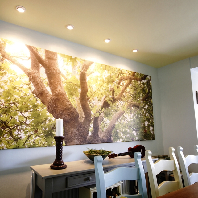 Wall Art: customized canvas 1M x 3M - €700 + vat, www.wallmural.ie