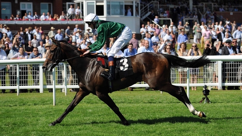 Limato should find ground conditions to his liking at Newmarket