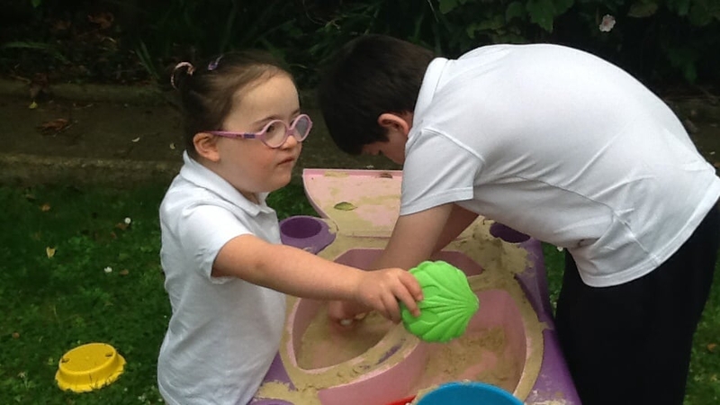 Inclusion Ireland says the Government must double the number of speech and language therapists in the system