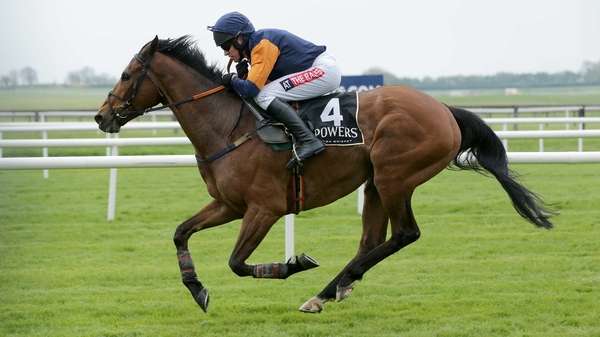 Rebel Fitz could run next month at Tipperary