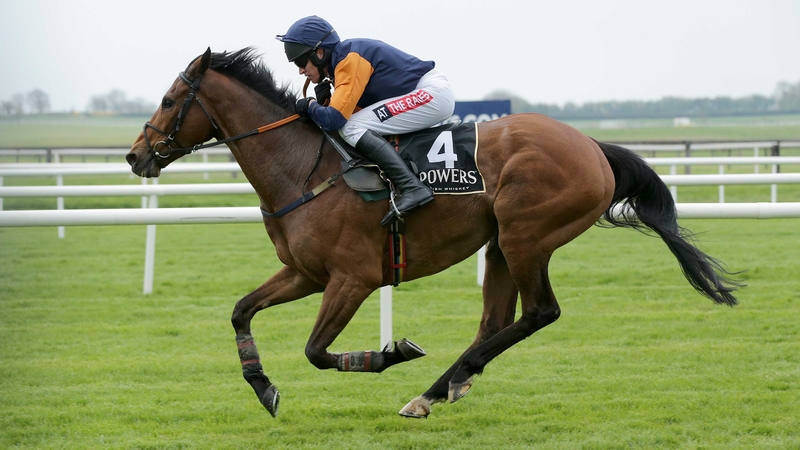 Rebel Fitz won the Powers Gold Cup in 2014