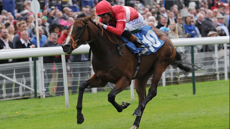 Tiggy Wiggy is a top-price 6-5 for the Cheveley Park Stakes