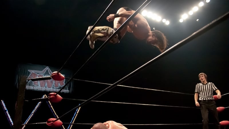 Carlito in mid-flight