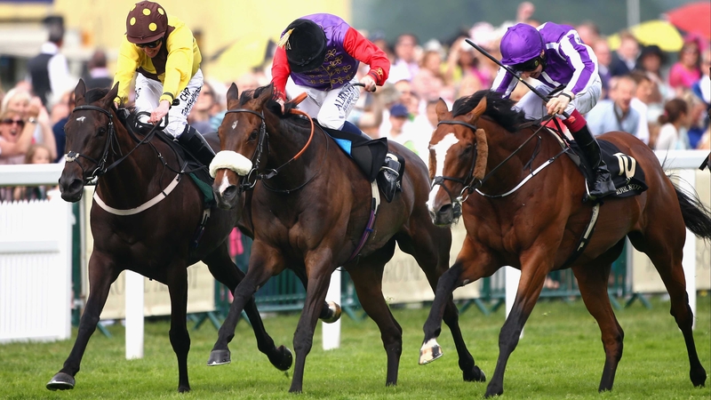 Estimate (middle) finished second past the post in the Gold Cup as Leading Light (right) gave trainer Aidan O'Brien a sixth win in the race
