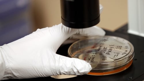 Out of the €26m, €10.6m will go to Science Foundation Ireland