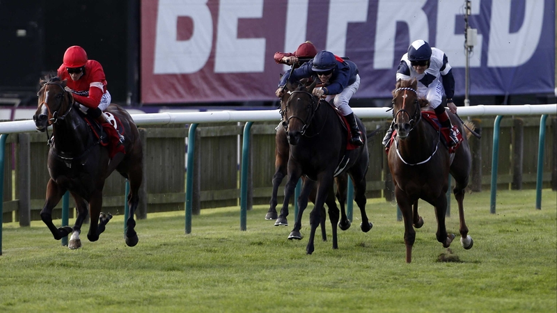 Tiggy Wiggy hugged the rail and made all under Richard Hughes