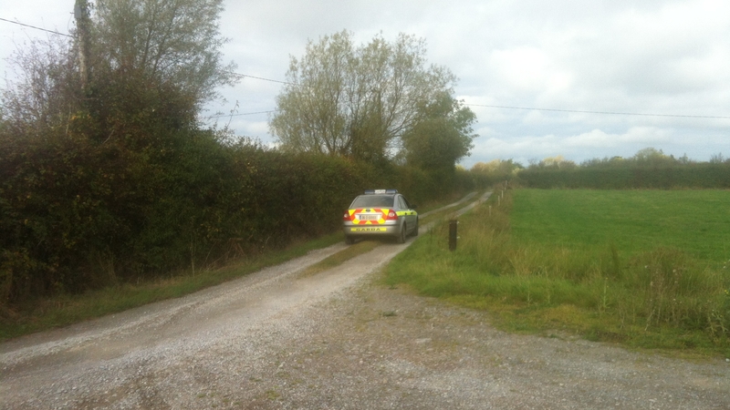 Paula Dinsberga was killed while playing at a farm in Charleville in Co Cork in September 2014