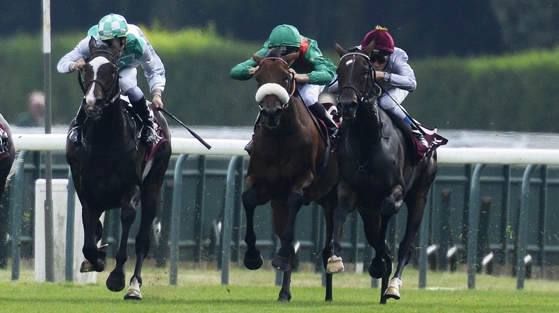 Treve (r) was unplaced at Arc trials in Paris two weeks ago