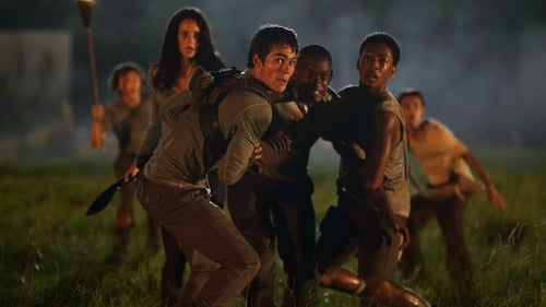 The Maze Runner - In cinemas from October 10
