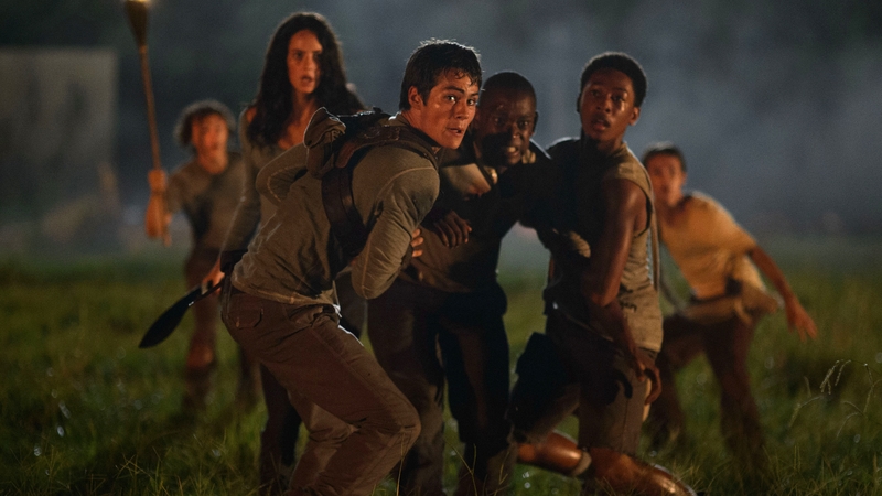 The Maze Runner – In cinemas now