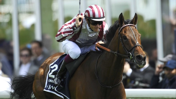 Longchamp-loving Cirrus Des Aigles has won 13 of his 21 races at the Parisian track