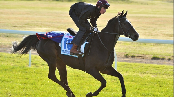 Ebor winner Mutual Regard breaks from 12 of 24