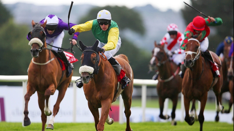 Quick Jack is the 6-1 favourite for the Cesarewitch, a race that starts in Cambridgeshire and ends in Suffolk