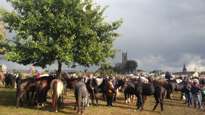 Organisers of the horse fair say crowds compare well to previous years