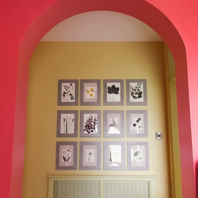 Photo frames – Jallvik - €8.50 each - www.ikea.com/ie/en/