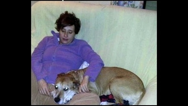 The nurse's dog, Excalibur, is to be put down