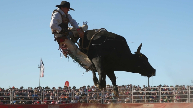 A bull rider is unseated during the Bull Ride Spectacular on the second day of the Deni Ute Muster at the Play on the Plains Festival in Australia