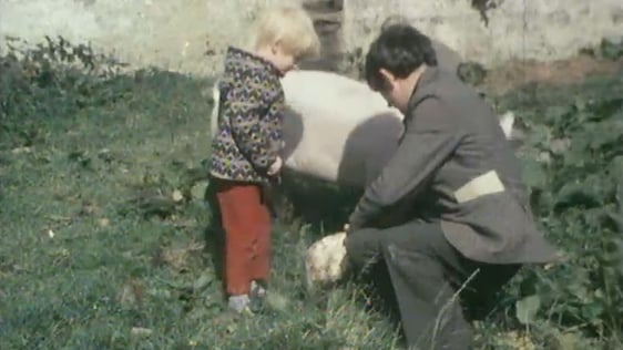 Michael Hartnett and Son, Limerick