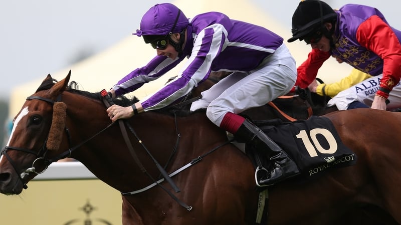 Aidan O'Brien's Leading Light narrowly denied Estimate successive victories in the Ascot Gold Cup in June